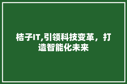 桔子IT,引领科技变革，打造智能化未来 网站开发