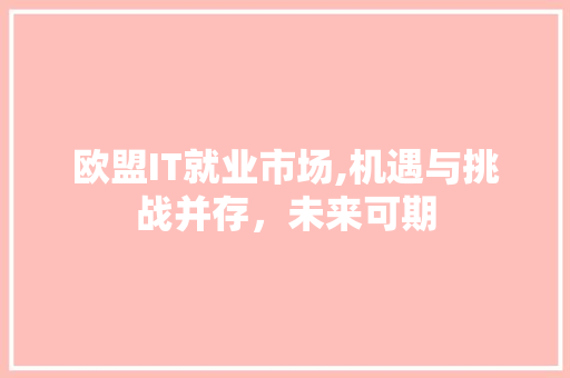欧盟IT就业市场,机遇与挑战并存，未来可期