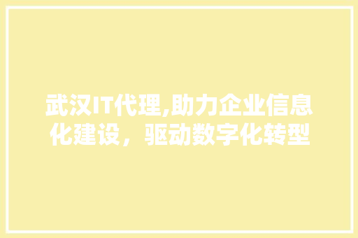 武汉IT代理,助力企业信息化建设，驱动数字化转型 seo技术