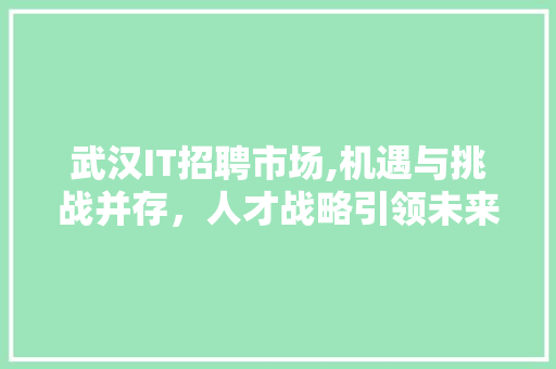 武汉IT招聘市场,机遇与挑战并存，人才战略引领未来 seo技术