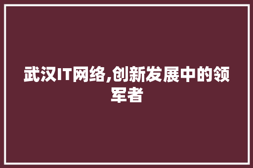 武汉IT网络,创新发展中的领军者 英文谷歌算法