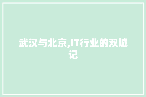 武汉与北京,IT行业的双城记 网站开发
