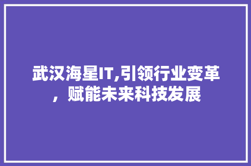 武汉海星IT,引领行业变革，赋能未来科技发展 seo技术