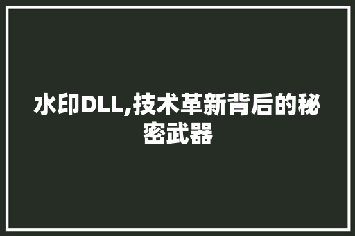 水印DLL,技术革新背后的秘密武器