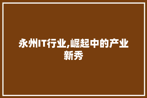 永州IT行业,崛起中的产业新秀