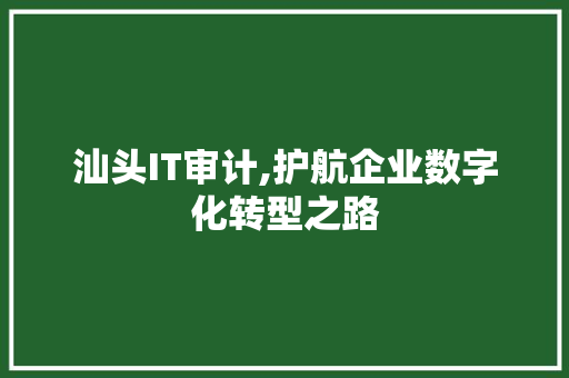 汕头IT审计,护航企业数字化转型之路 AI技术学习
