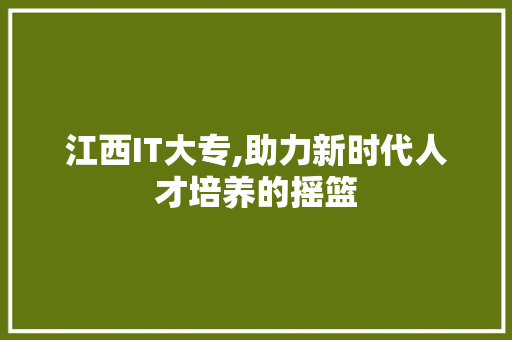 江西IT大专,助力新时代人才培养的摇篮