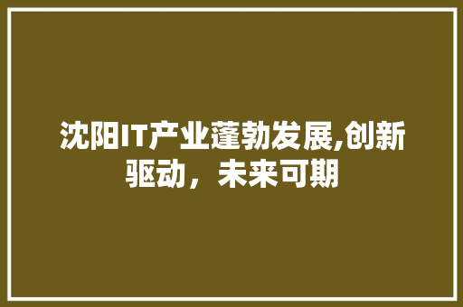 沈阳IT产业蓬勃发展,创新驱动，未来可期 AI技术学习