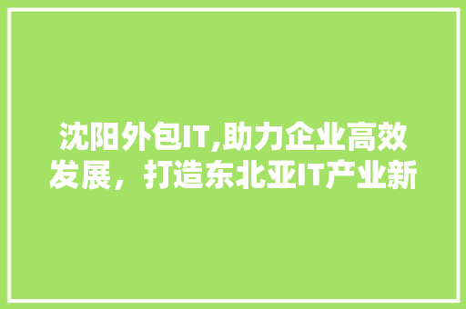 沈阳外包IT,助力企业高效发展，打造东北亚IT产业新高地 AI技术学习