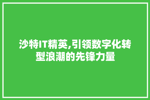 沙特IT精英,引领数字化转型浪潮的先锋力量 头条优化