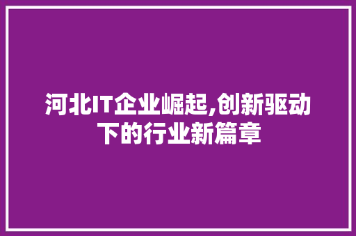 河北IT企业崛起,创新驱动下的行业新篇章