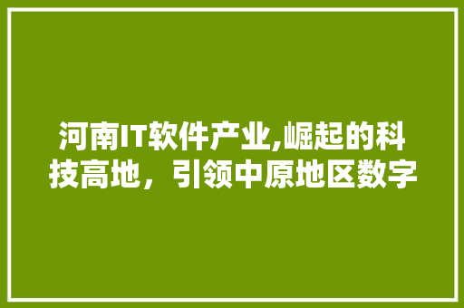 河南IT软件产业,崛起的科技高地，引领中原地区数字化转型