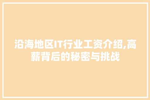 沿海地区IT行业工资介绍,高薪背后的秘密与挑战 网站开发