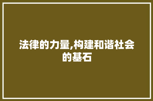 法律的力量,构建和谐社会的基石