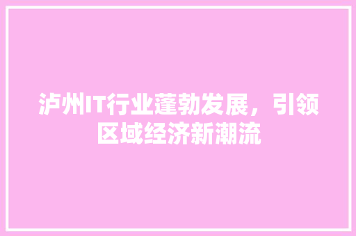 泸州IT行业蓬勃发展，引领区域经济新潮流