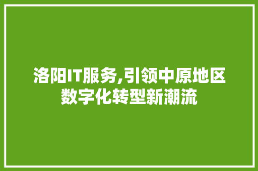 洛阳IT服务,引领中原地区数字化转型新潮流 网站开发