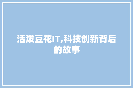 活泼豆花IT,科技创新背后的故事
