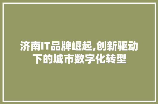 济南IT品牌崛起,创新驱动下的城市数字化转型