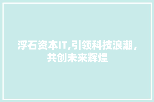 浮石资本IT,引领科技浪潮，共创未来辉煌 网站开发