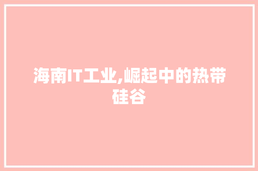 海南IT工业,崛起中的热带硅谷 英文谷歌算法