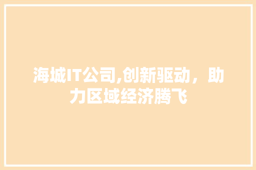 海城IT公司,创新驱动，助力区域经济腾飞