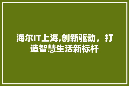 海尔IT上海,创新驱动，打造智慧生活新标杆 360搜优化