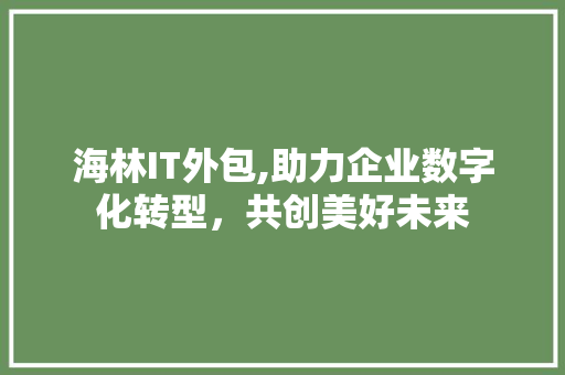 海林IT外包,助力企业数字化转型，共创美好未来 百度算法