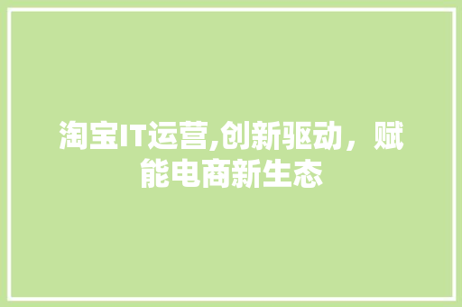 淘宝IT运营,创新驱动，赋能电商新生态