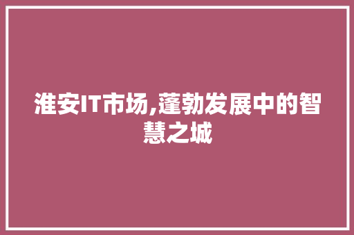 淮安IT市场,蓬勃发展中的智慧之城