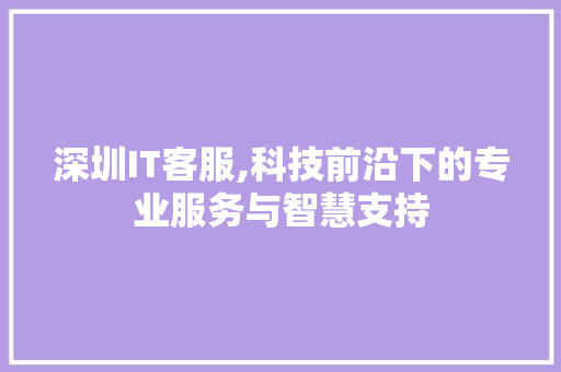 深圳IT客服,科技前沿下的专业服务与智慧支持 360搜优化