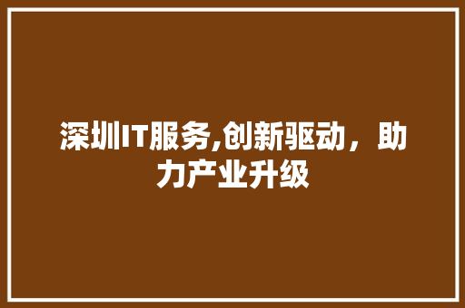 深圳IT服务,创新驱动，助力产业升级 seo技术
