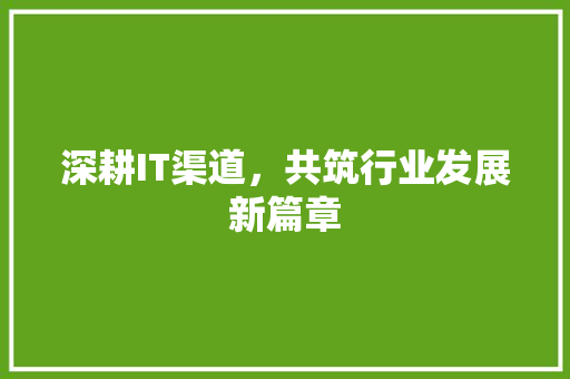深耕IT渠道，共筑行业发展新篇章