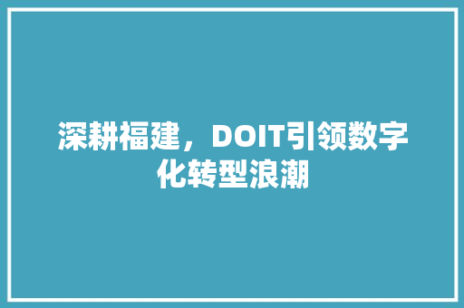 深耕福建，DOIT引领数字化转型浪潮 360搜优化
