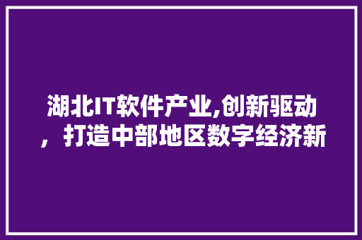 湖北IT软件产业,创新驱动，打造中部地区数字经济新高地
