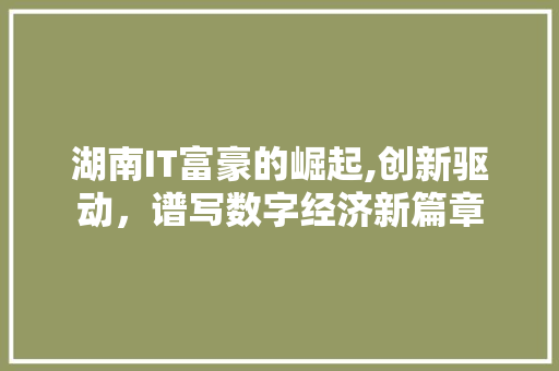 湖南IT富豪的崛起,创新驱动，谱写数字经济新篇章