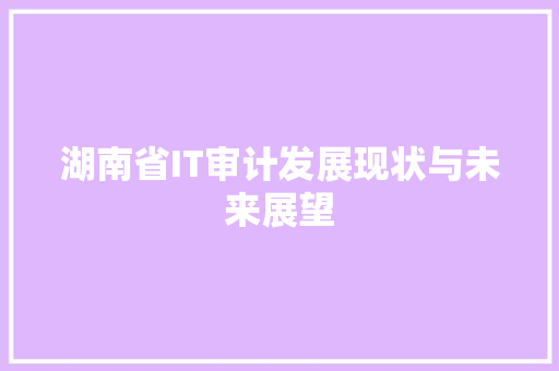 湖南省IT审计发展现状与未来展望