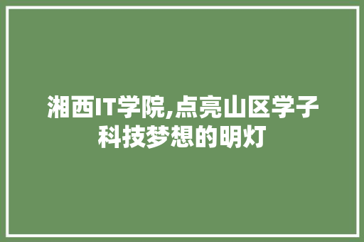 湘西IT学院,点亮山区学子科技梦想的明灯