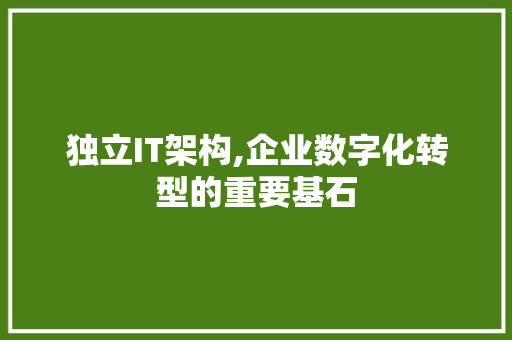 独立IT架构,企业数字化转型的重要基石