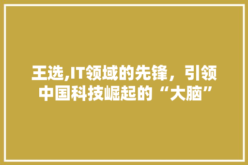 王选,IT领域的先锋，引领中国科技崛起的“大脑” 头条优化