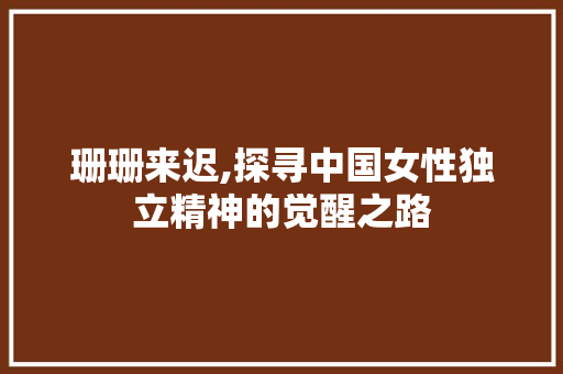 珊珊来迟,探寻中国女性独立精神的觉醒之路 seo技术