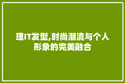 理IT发型,时尚潮流与个人形象的完美融合