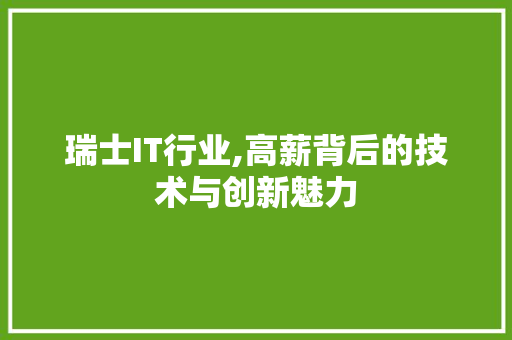 瑞士IT行业,高薪背后的技术与创新魅力 网站开发
