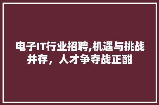电子IT行业招聘,机遇与挑战并存，人才争夺战正酣 网站优化