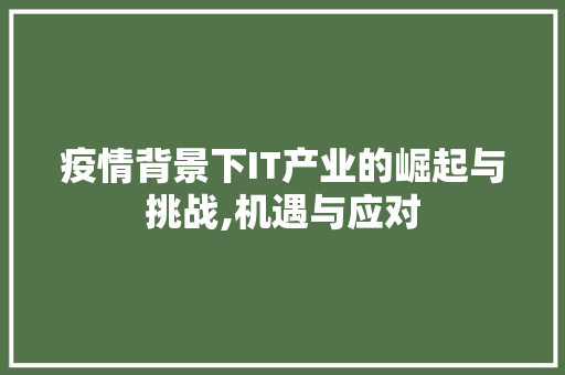 疫情背景下IT产业的崛起与挑战,机遇与应对