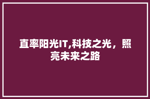 直率阳光IT,科技之光，照亮未来之路 网站开发