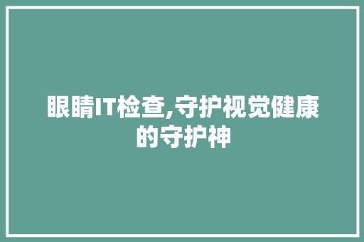 眼睛IT检查,守护视觉健康的守护神 seo技术
