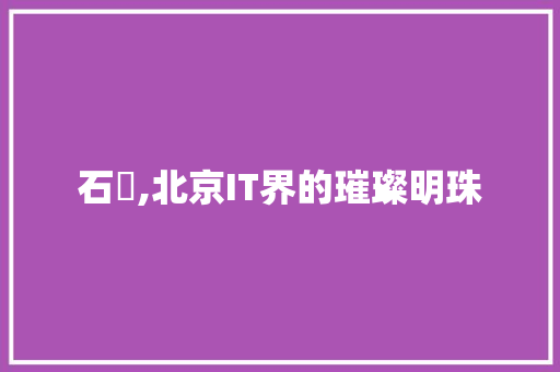 石喆,北京IT界的璀璨明珠 AI技术学习