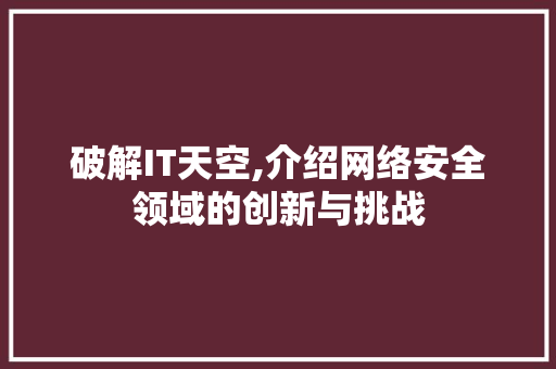 破解IT天空,介绍网络安全领域的创新与挑战 百度算法