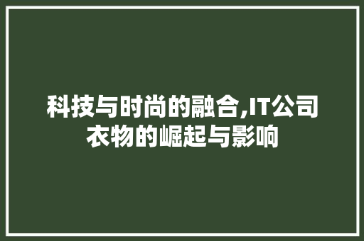 科技与时尚的融合,IT公司衣物的崛起与影响 百度算法