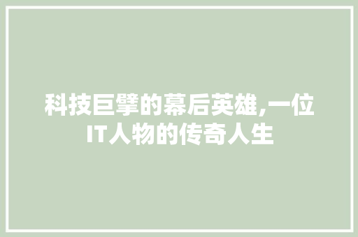 科技巨擘的幕后英雄,一位IT人物的传奇人生